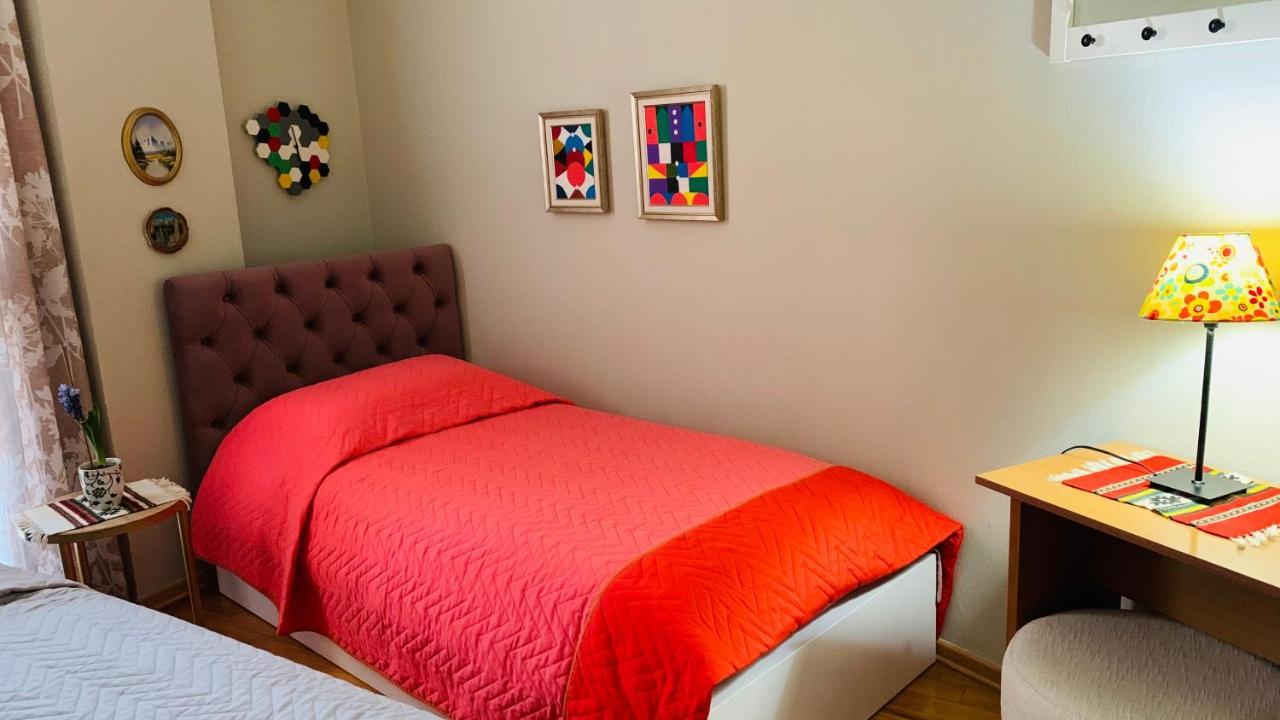 Central Comfy Apartment ティラナ エクステリア 写真