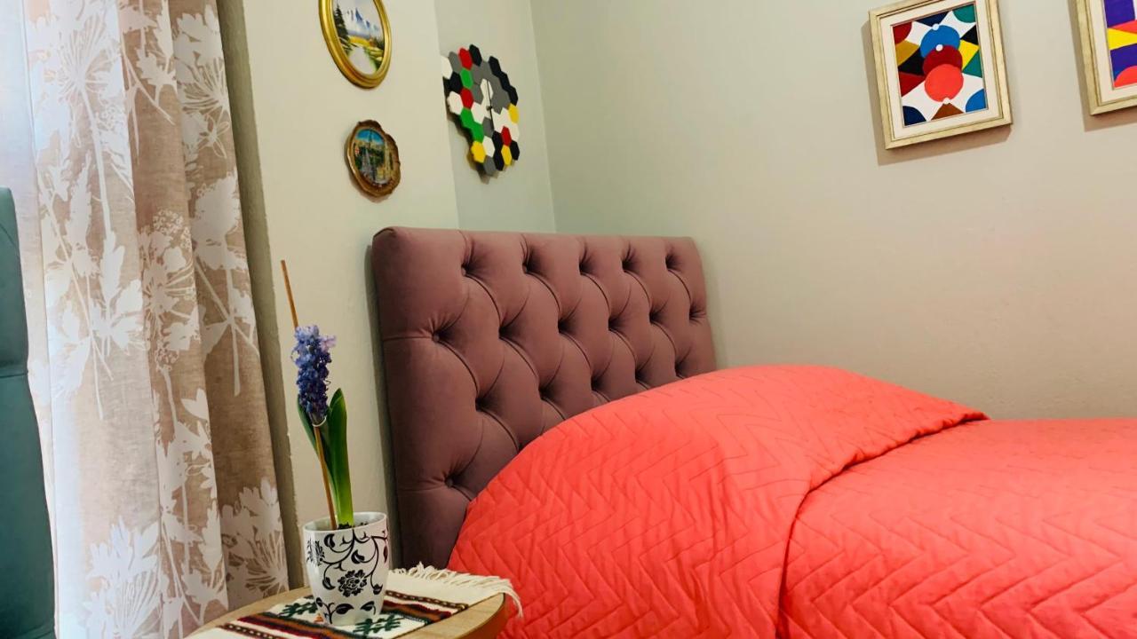 Central Comfy Apartment ティラナ エクステリア 写真