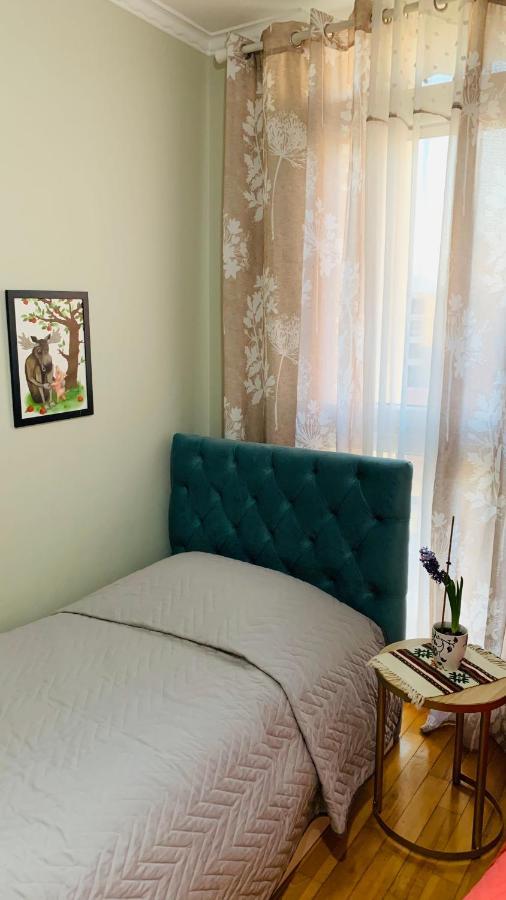 Central Comfy Apartment ティラナ エクステリア 写真